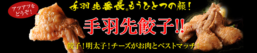 手羽先番長もうひとつの顔！手羽先餃子！アツアツをどうぞ！