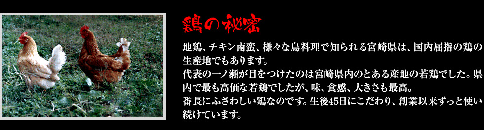 地鶏、チキン南蛮、様々な鳥料理で知られる宮崎県は、国内屈指の鶏の生産地でもあります。代表の一ノ瀬が目をつけたのは小林産の若鶏でした。県内で最も高価な若鶏でしたが、味、食感、大きさも最高。番長にふさわしい鶏なのです。生後45日にこだわり、創業以来ずっと使い続けています。